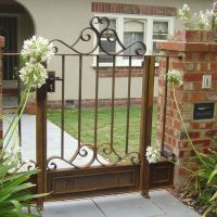 Outdoor Wrought Iron Gates